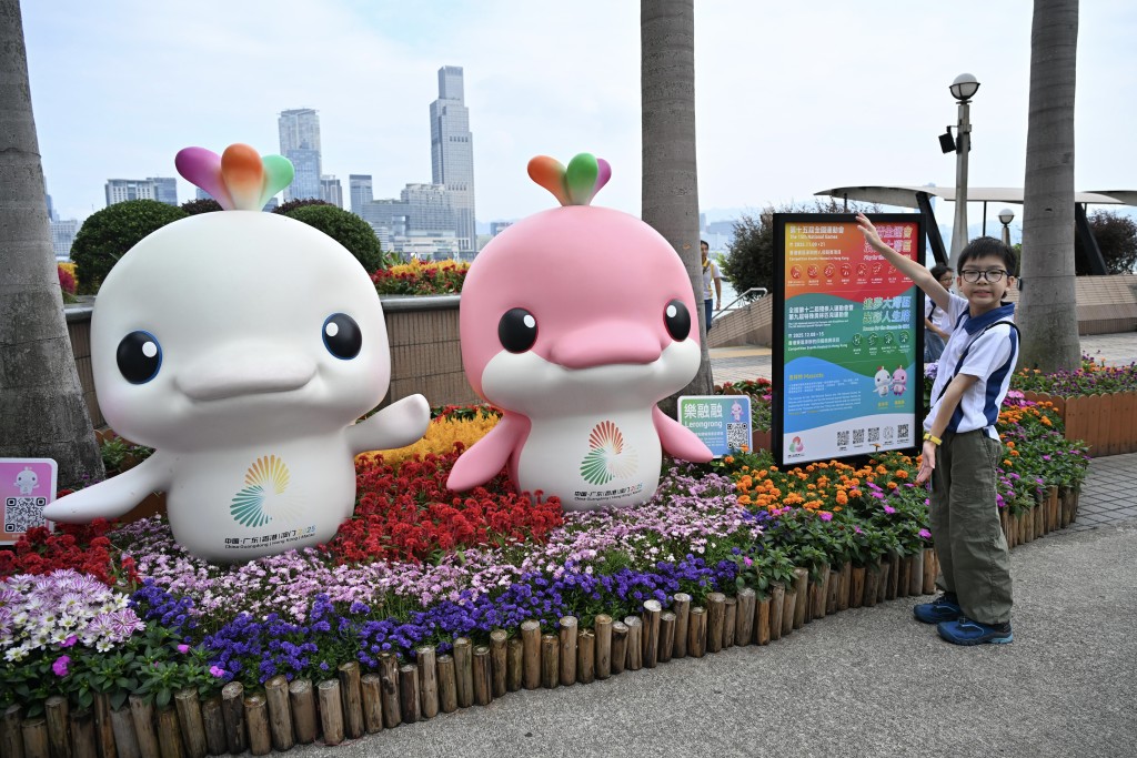 有內地網民以為全運會吉祥物「喜洋洋」與「樂融融」是以「小雞」作為原型。