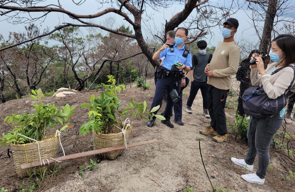 64歲漁護署農林助理員吳國培今日在大嶼山芝麻灣進行植樹工作期間，遭野蜂螫傷後身亡。