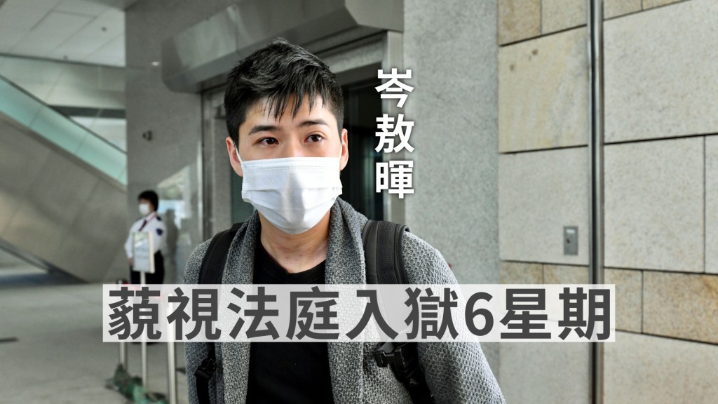 岑敖暉承認藐視法庭罪