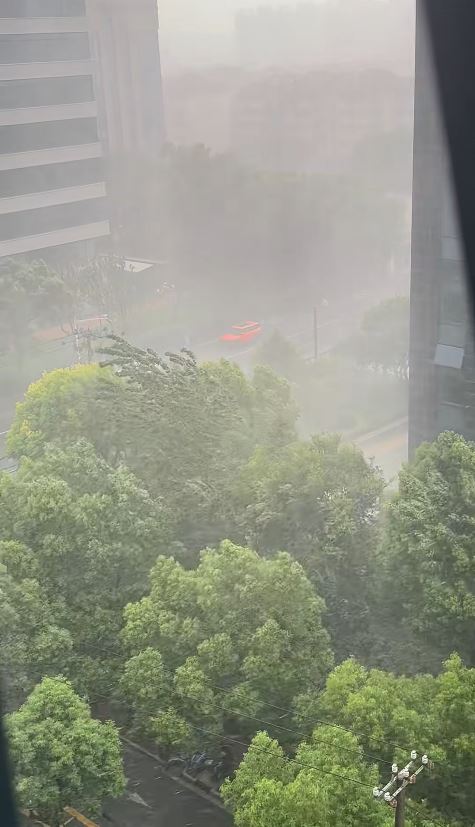 上海連日暴雨。圖為9月1日上海的暴雨情況。小紅書@小A同學
