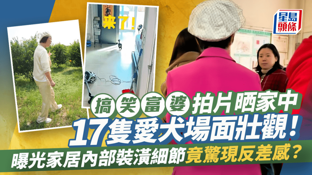 搞笑富婆拍片晒家中17隻愛犬場面壯觀！ 曝光家居內部裝潢細節竟驚現反差感？