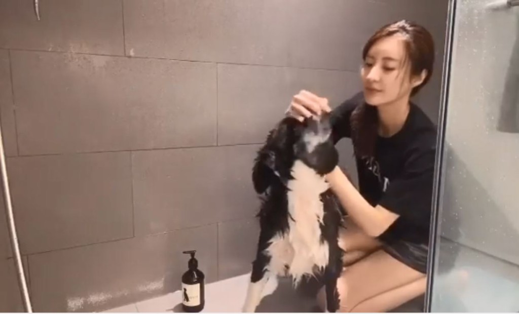 第一隻狗狗。