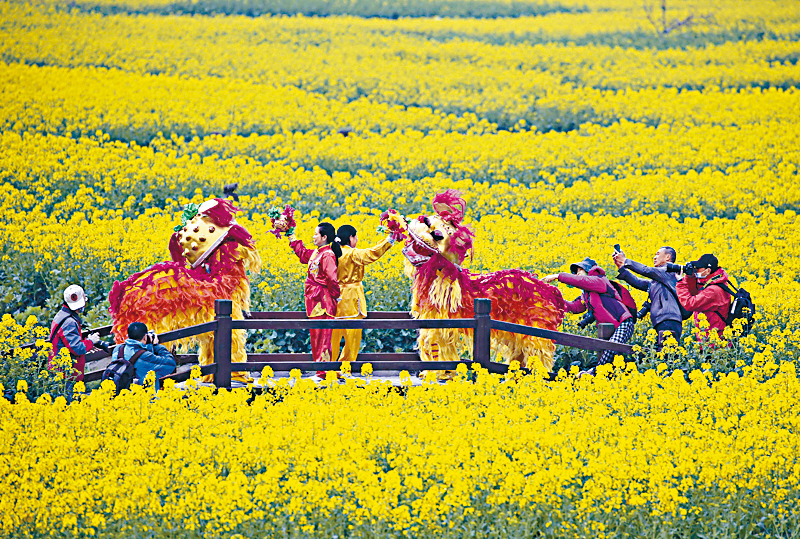 ●旅遊節期內可在花田賞到精采表演。
