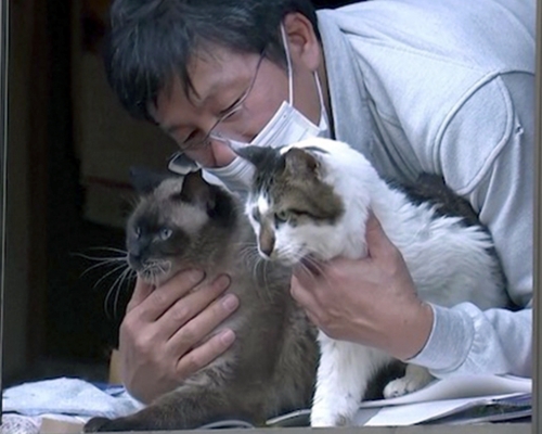 日本男子留守福島禁區10年，為照顧遺棄寵物。（網圖）