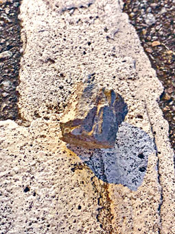 击伤警员头部的石头遗留现场。
　　