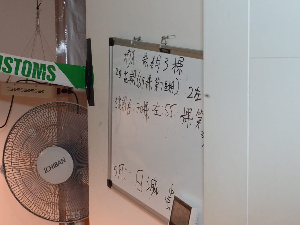 屋內有白板寫有懷疑種植記錄。