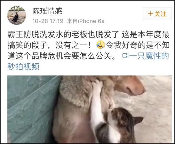 網友毫不留情，不停指他脫髮。