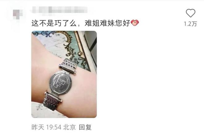 有網友表示自己的浪琴錶也只剩錶帶。 有網友表示自己的浪琴錶也只剩錶帶。