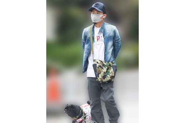 平日只見大野單拖放狗。