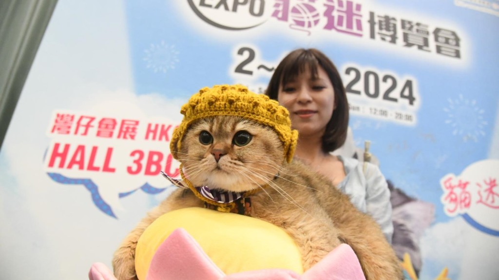 猫迷博览会去年首次举行，吸引18万人次入场，大会希望今年入场人次能维持相关水平。何健勇摄