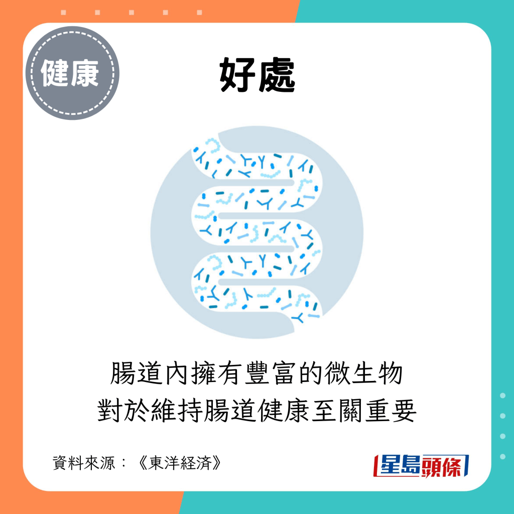 肠道内拥有丰富的微生物 对于维持肠道健康至关重要