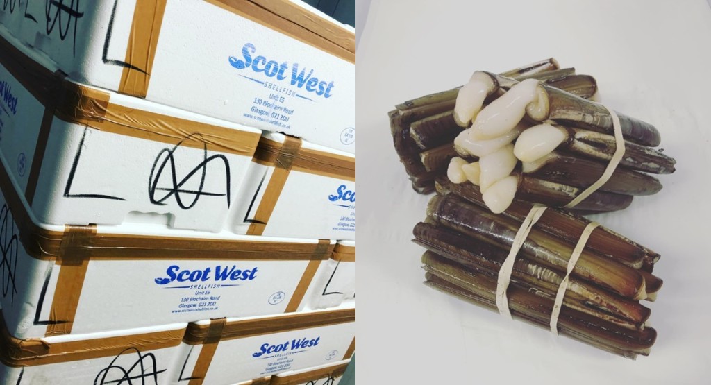 食安中心指一批「Scot West Shellfish」的愛爾蘭進口蟶子來源不明,呼籲市民不要食用。Scot West Shellfish instagram圖片