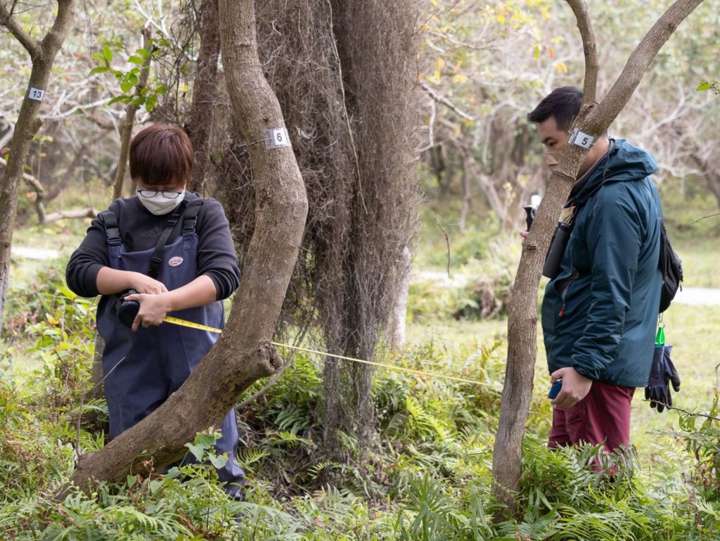 在“大屿山保育基金”的资助下，香港观鸟会的工作人员早前在水口的湿地进行实地考察及与持份者交流，其项目正于水口试验不同的生境管理工作，为之后推展长远的保育策略打好基础。（发展局）