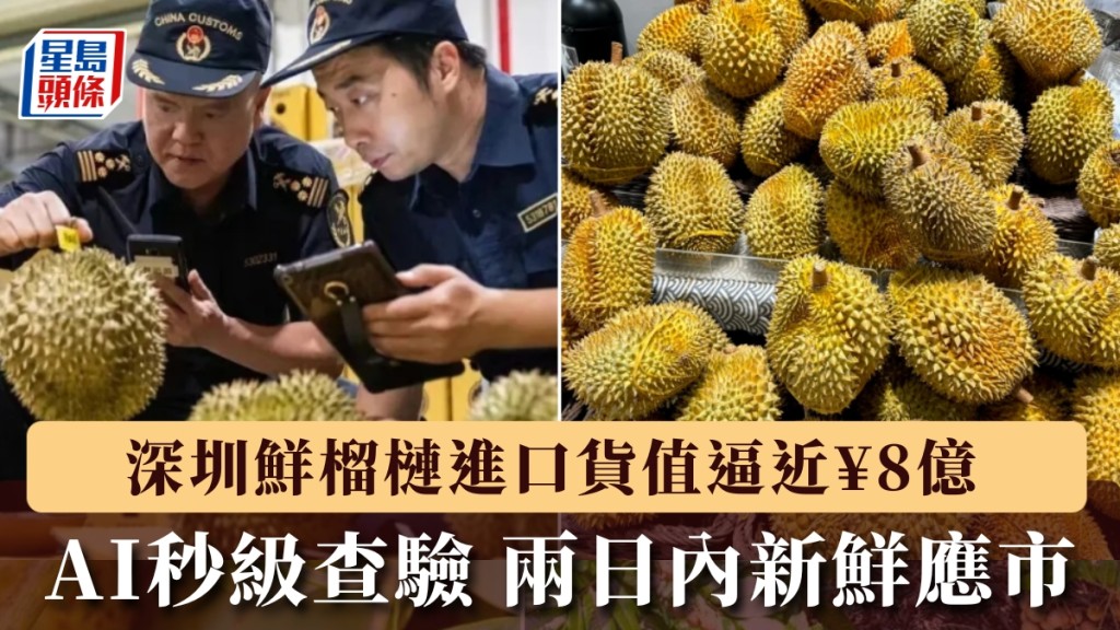 深圳口岸进口量暴增4成破纪录。