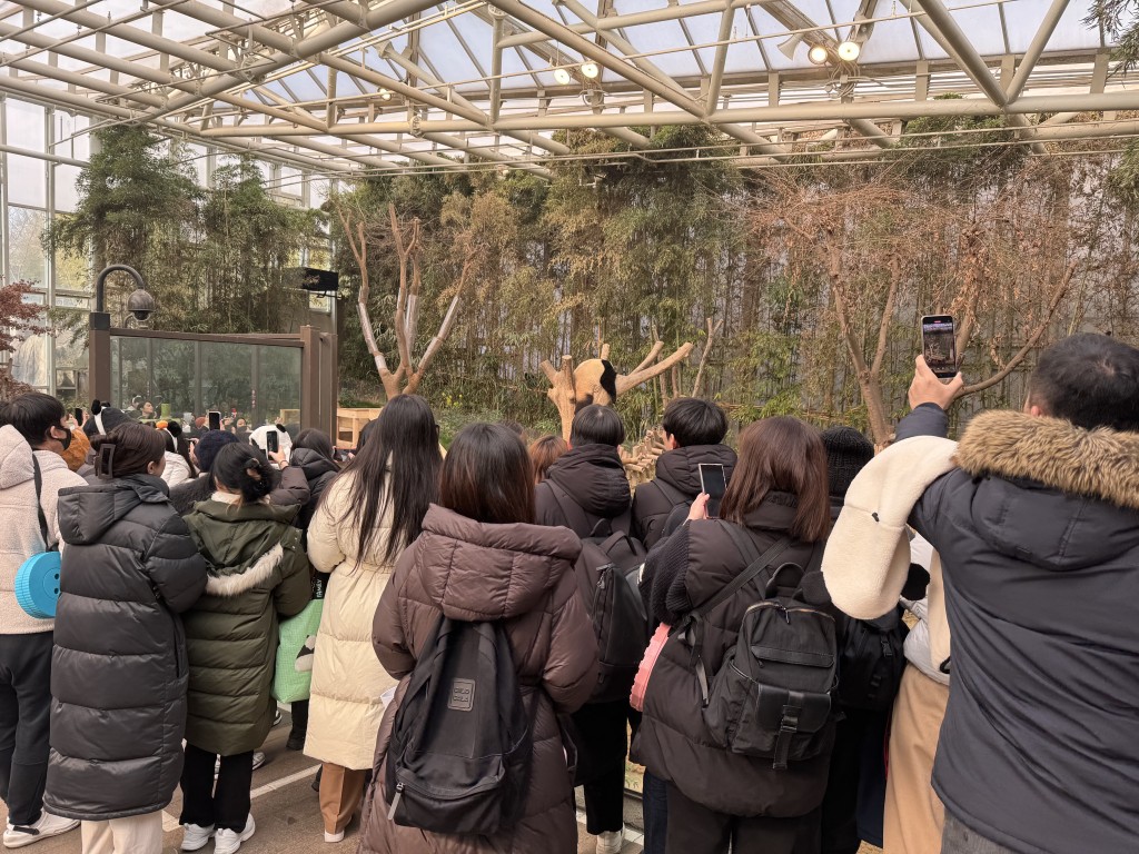 大批韓國民眾到動物園，與「福寶」道別。（新華社）
