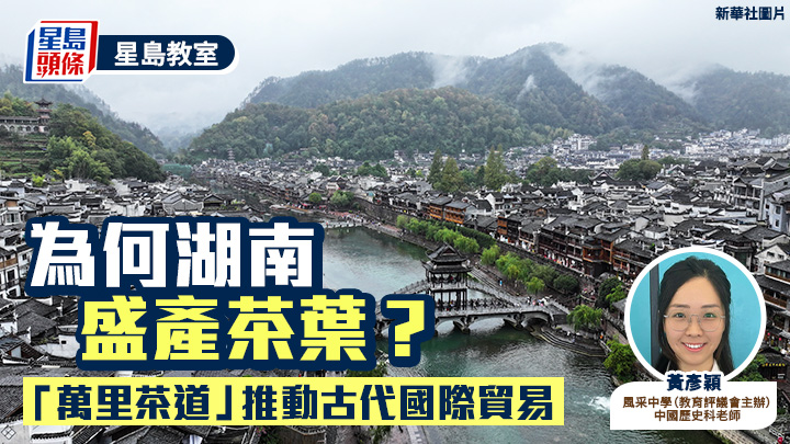中史｜為何湖南盛產茶葉？「萬里茶道」推動古代國際貿易｜星島教室