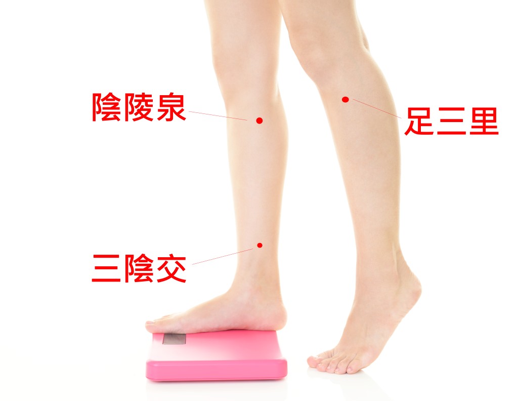 三陰交、陰陵泉及足三里。 三陰交、陰陵泉及足三里。