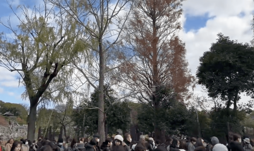 兩隻大熊貓下月返回中國，引來大批「粉絲」湧動物園道別。X@MutsukiWatson