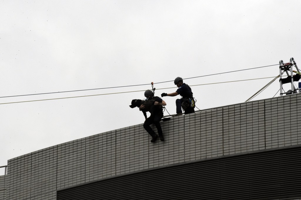 警犬隊的高難度表演。楊偉亨攝