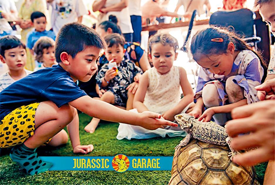 中環美利酒店同本港移動動物園Jurassic Garage合作，為大人細路帶嚟動物奇遇之旅。