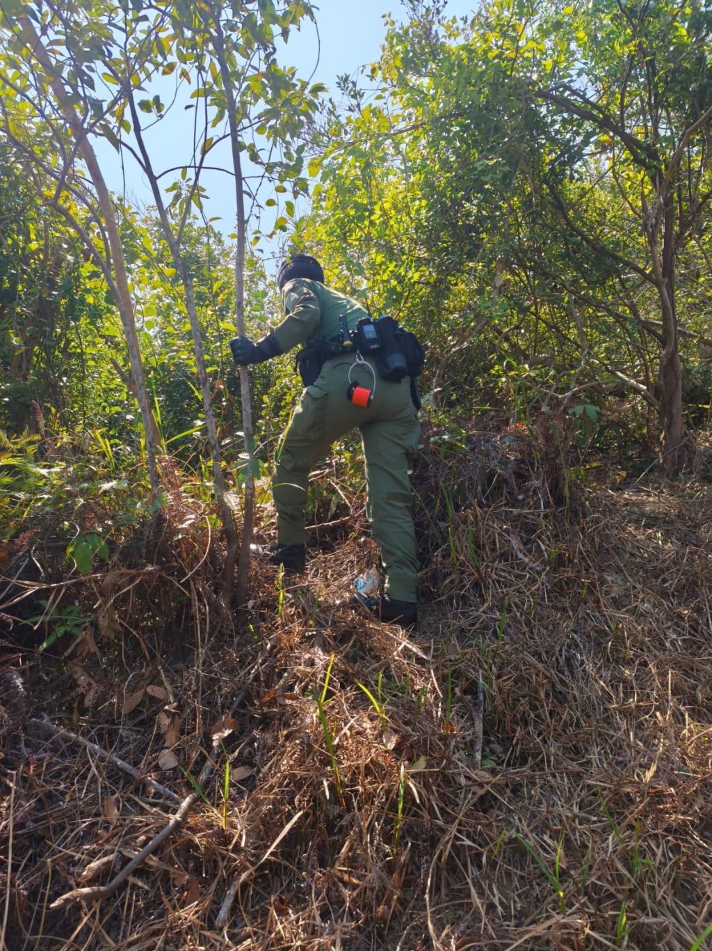軍裝人員於鄰近屋苑山坡及密林一帶高調巡邏。