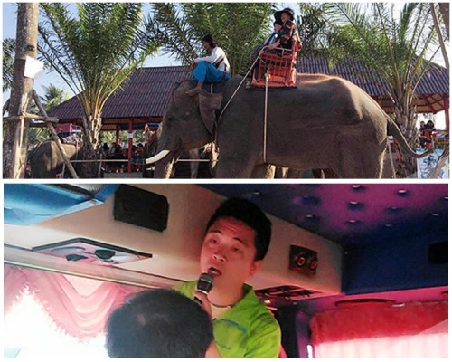 踩踏何永傑(下圖)致其身亡的涉事大象(上圖)。團友圖片