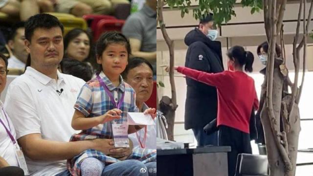 有网民分享野生捕获姚明一家的最新影片，女儿已长得跟妈妈差不多高。