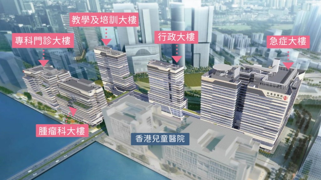 啟德醫院主要服務油尖旺、九龍城、黃大仙及觀塘區居民,取代伊利沙伯醫院成為九龍中聯網的龍頭醫院。 啟德醫院主要服務油尖旺、九龍城、黃大仙及觀塘區居民,取代伊利沙伯醫院成為九龍中聯網的龍頭醫院。