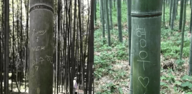 同一篇帖子也有提到日本嵐山竹子上的塗鴉。Facebook@서경덕의 대한민국 홍보 이야기 同一篇帖子也有提到日本嵐山竹子上的塗鴉。Facebook@서경덕의 대한민국 홍보 이야기