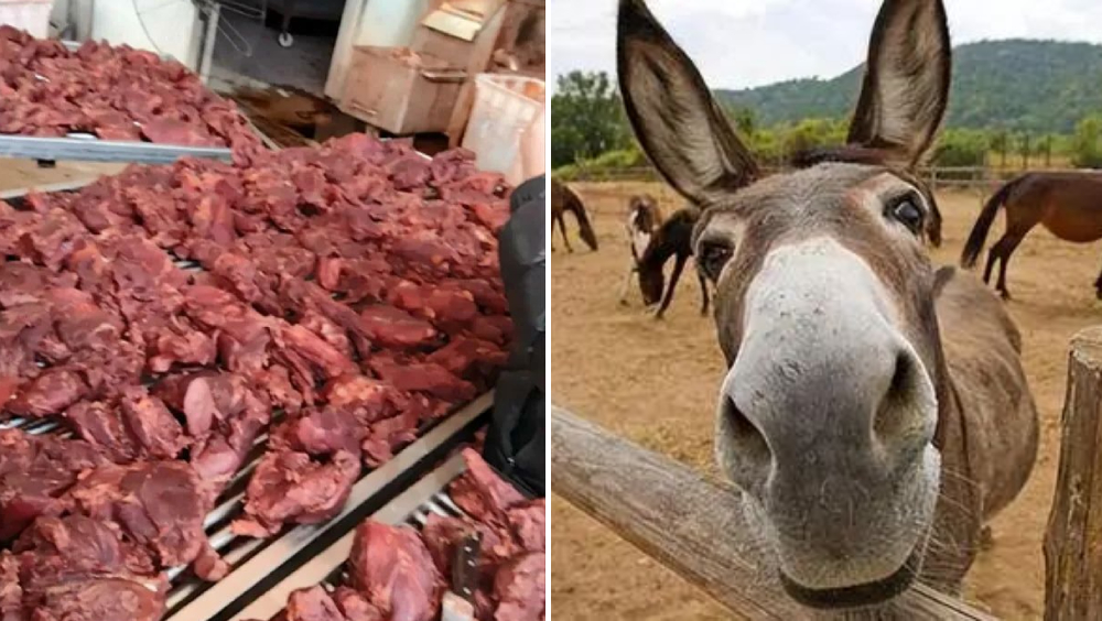 內媒起底「假驢肉產業鏈」,不法商人以豬肉馬肉製假驢肉,添加劑超標催生致癌物。