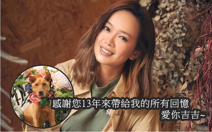 Hailey 的愛犬吉吉離世!