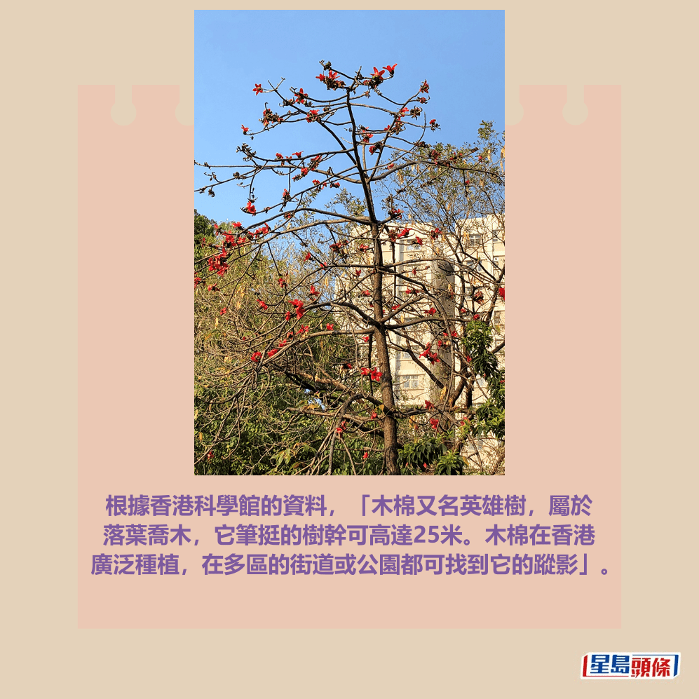 香港科學館網頁截圖