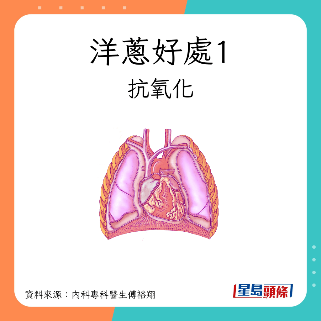 洋蔥好處1：抗氧化