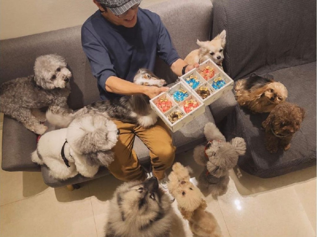 林家謙好錫狗。