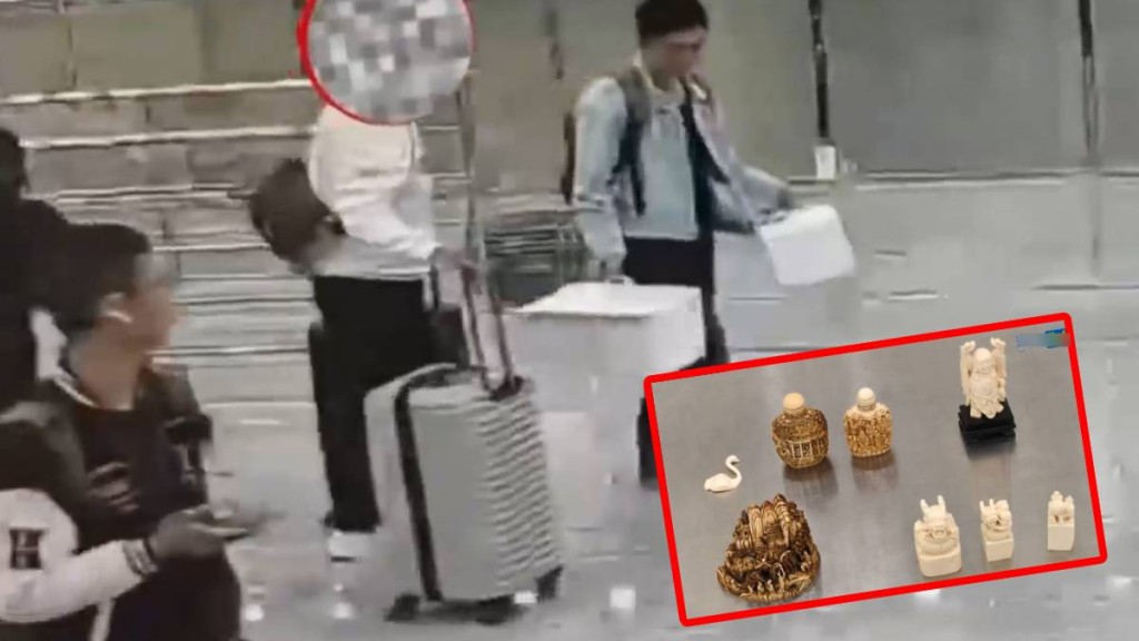 海關發現男子行李箱內藏有8件象牙製品。海關發布