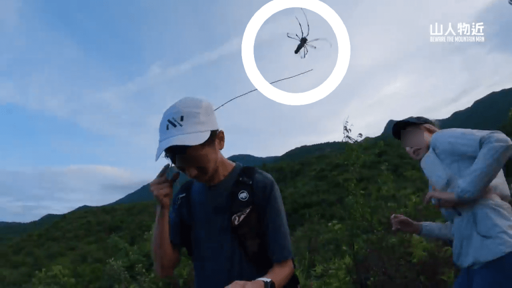 他们在山间除了遇到大蜘蛛（白圈），亦被蚂蚁咬。（Youtube频道「山人物近」截图）
