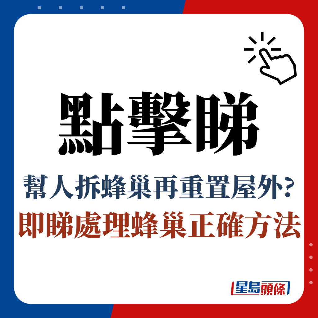 点击睇 帮人拆蜂巢再重置屋外? 即睇处理蜂巢正确方法