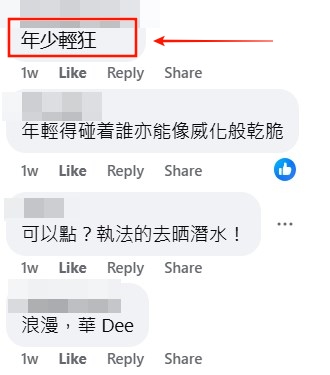 facebook截圖（資料來源：Din Dong ＠facebook車cam L（香港群組））