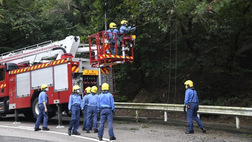 消防員架起升降台鋸樹。楊偉亨攝