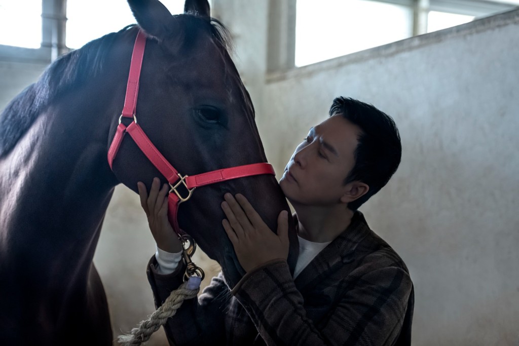 甄子丹特别前往马房探访上届冠军赛驹「浪漫勇士」作近距离接触。