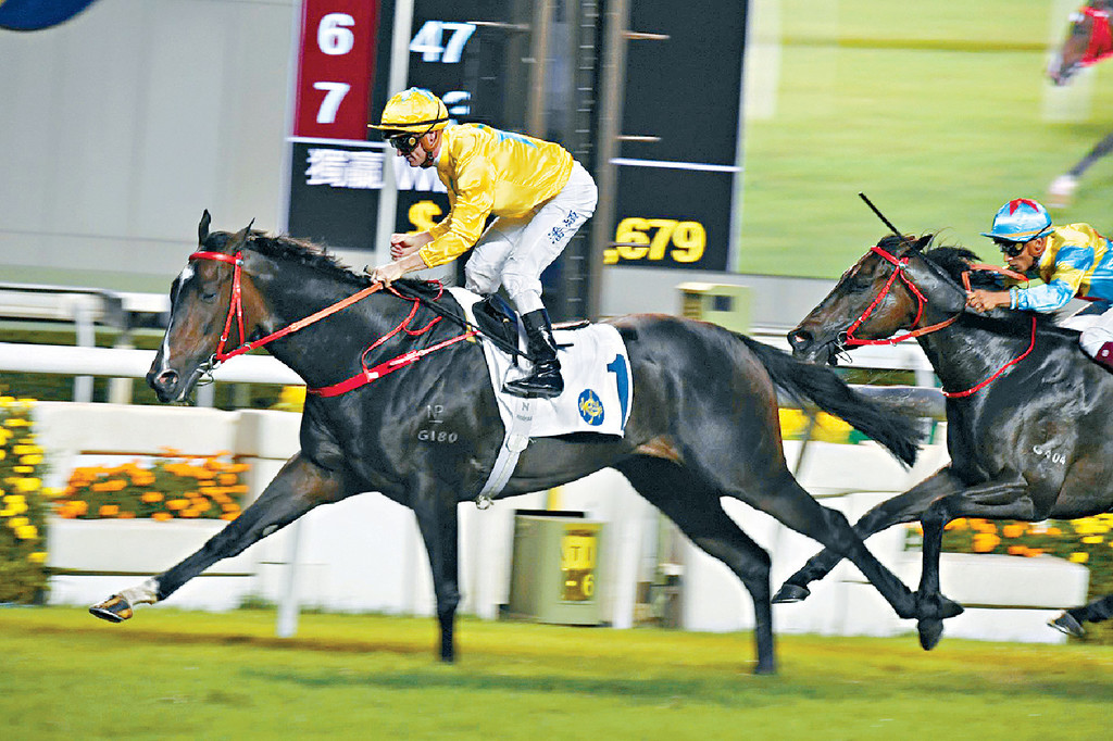 ■「金钻贵人」昨日夺得沙田银瓶，今季8W追平旧纪录。