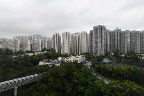 單位享有開揚景觀，同時外望綠林及市景。