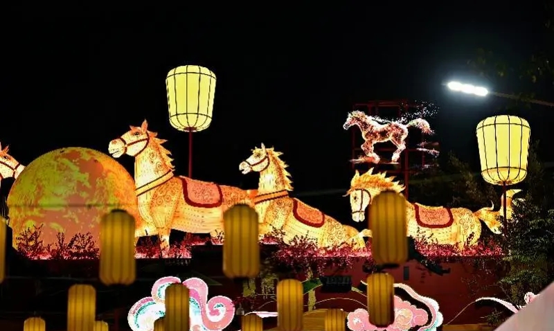 深圳愛國路迎春花市開幕，打卡位眾多。微信@深圳大件事