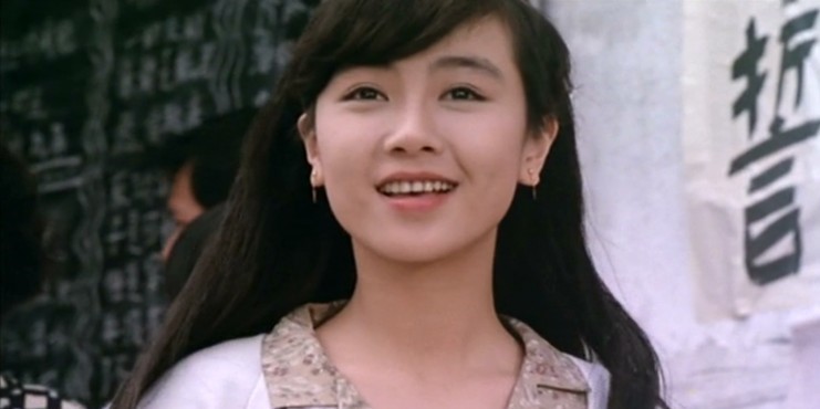 袁洁莹参演过《笑傲江湖》、《东方不败》及《苏乞儿》等武侠片。