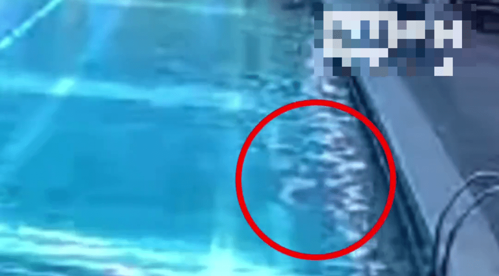 溺水男子是在最右邊泳道出事。