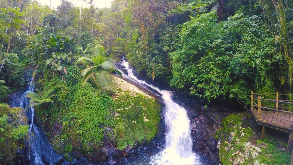 科鲁帕瀑布是巴西大西洋森林仅存的地区之一。 网图