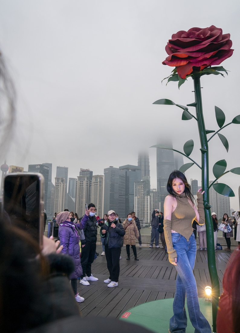 巨型玫瑰，是上海情人节「骄」点。