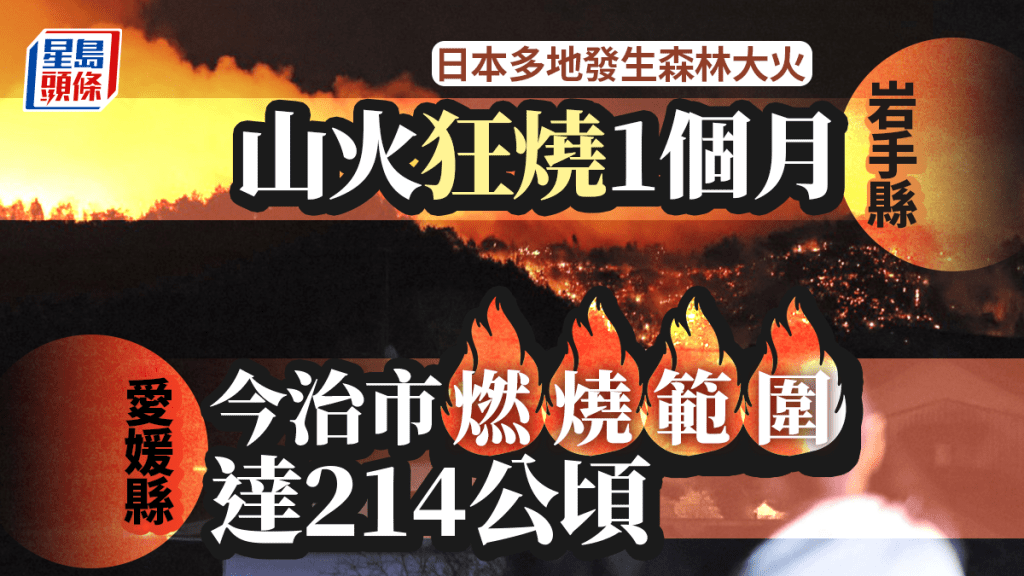 遊日注意 | 岩手山火狂燒1個月 日本政府列「激甚災害」