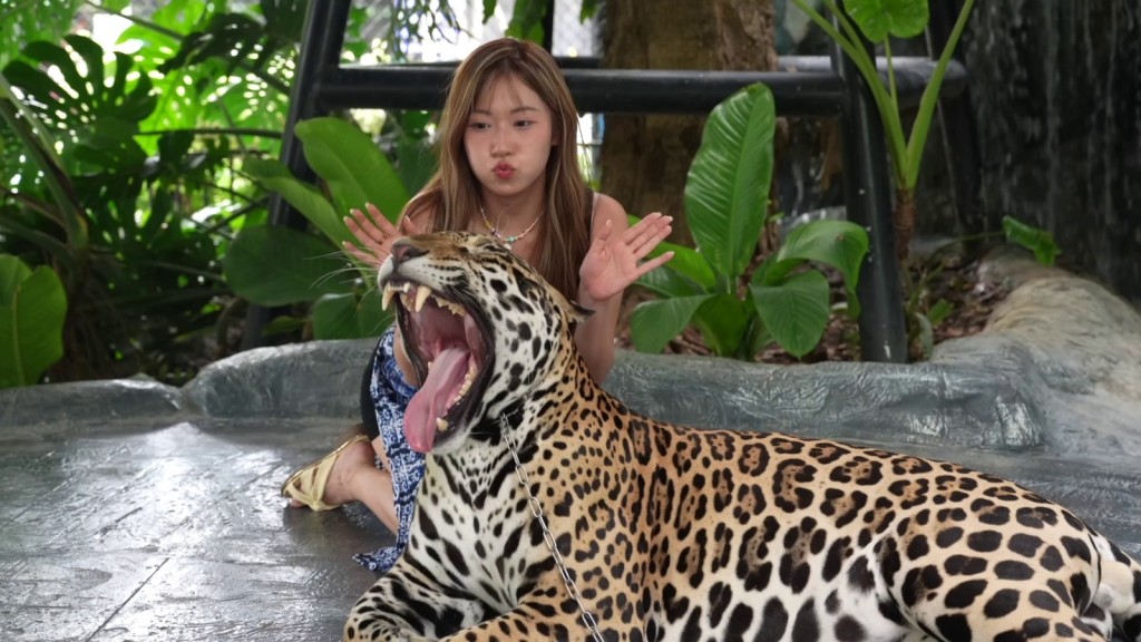 安全嘅~ 安全嘅~