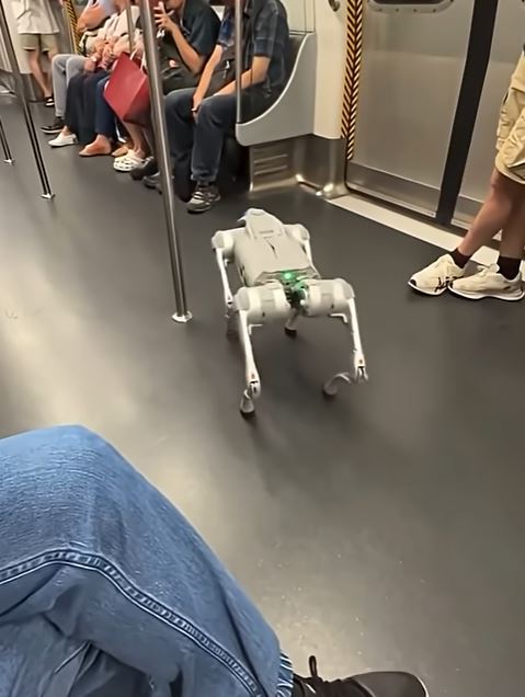 去年港鐵範圍內出現機械狗。資料圖片